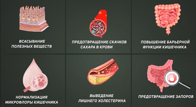 для кишечника