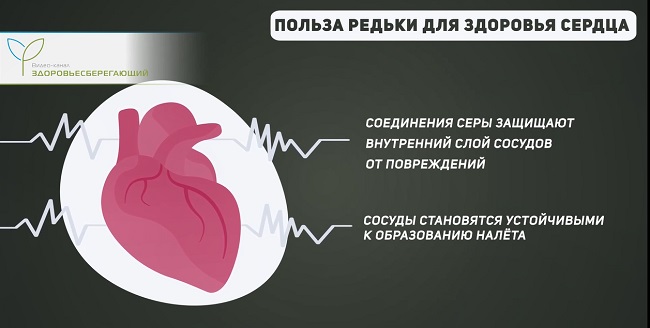 польза сердцу