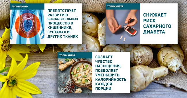 топинамбур