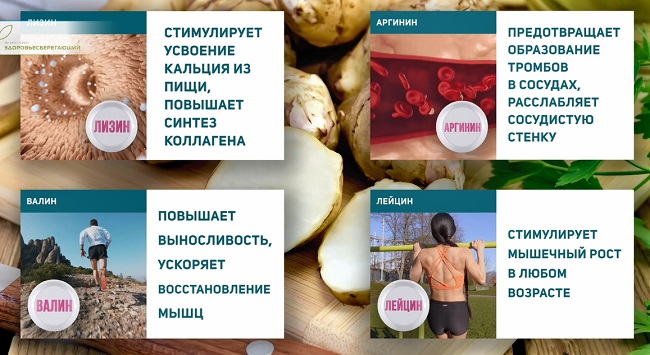 аминокислоты в топинамбуре