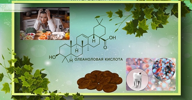 Олеаноловая кислота