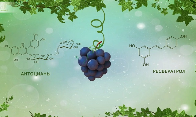 ресвератрол