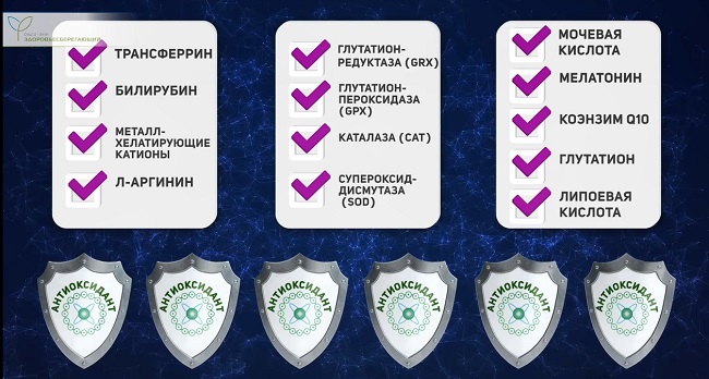 клеточные антиоксиданты