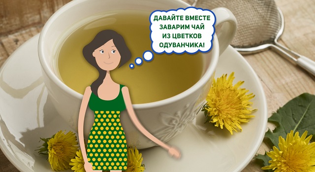 чай из одуванчиков