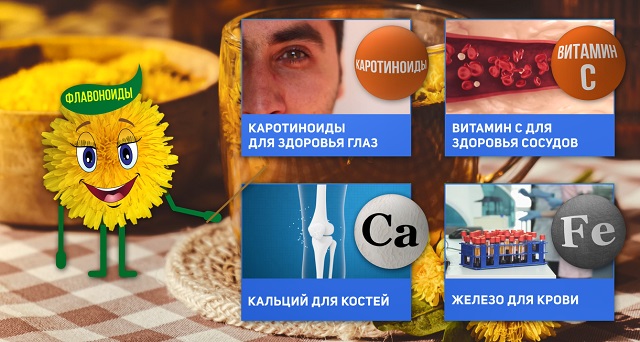 польза чая из одуванчиков
