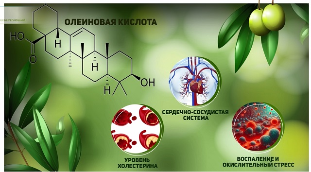 Олеиновая кислота