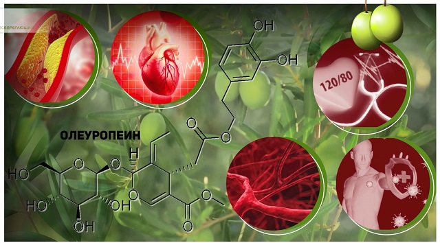 Олеуропеин