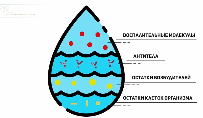 состав слизи