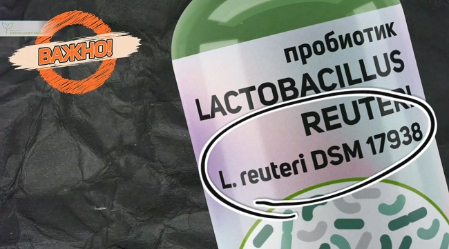 Где на упаковке указан штамм Reuteri