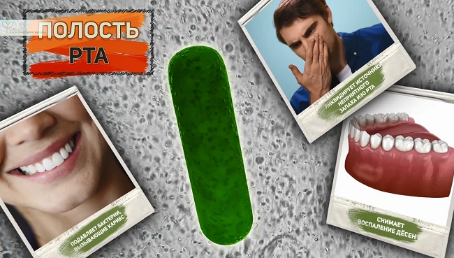 полость рта