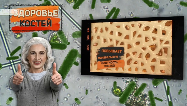 крепкие кости