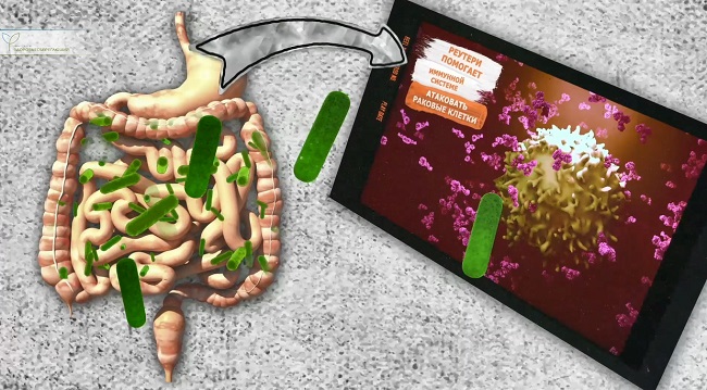 противоопухолевое действие