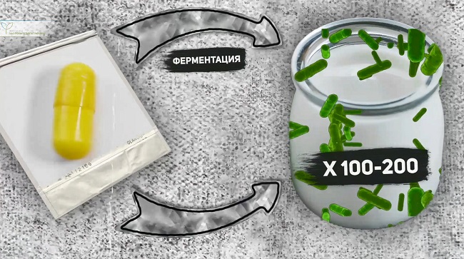 увеличение бактерий в 200 раз