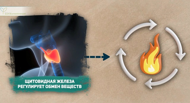 Гипотиреоз