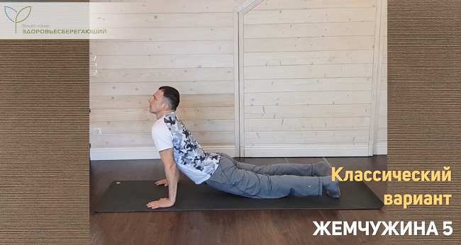 Собака мордой вверх