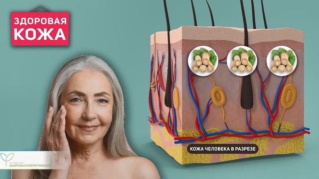 здоровая кожа