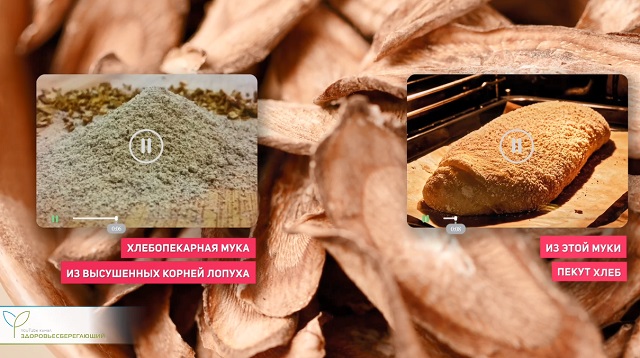 мука из корня лопуха