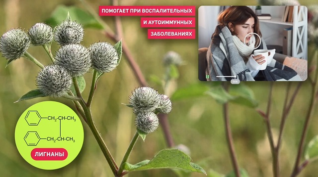 противовоспалительный эффект