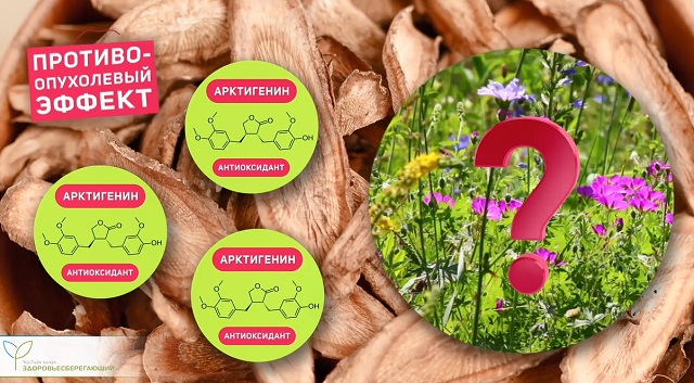 антиоксидант