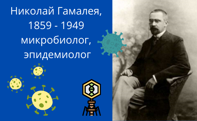 Николай Фёдорович Гамалея