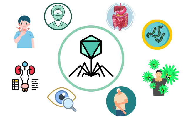 Применение бактериофагов
