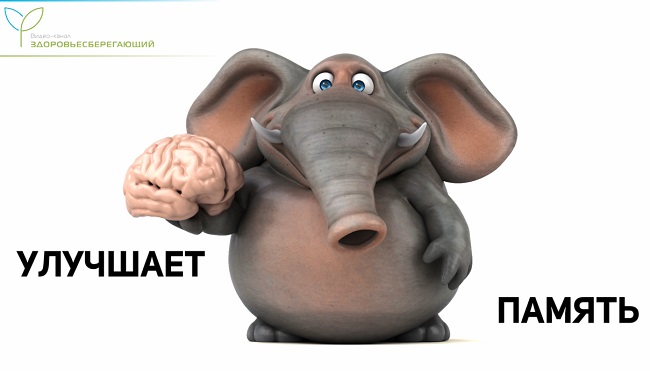 повышение когтитивных способностей