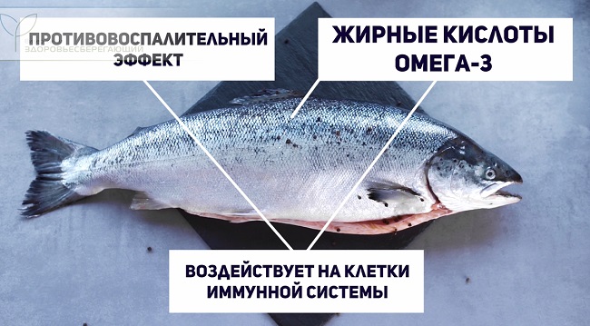 жирная рыба