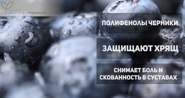 зеленый чай