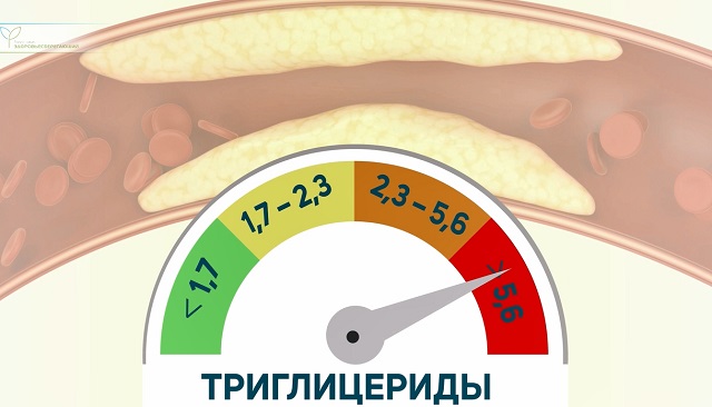 Триглицериды