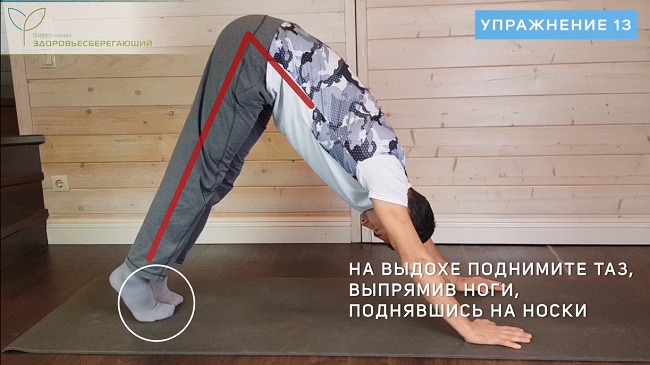 собака мордой вниз