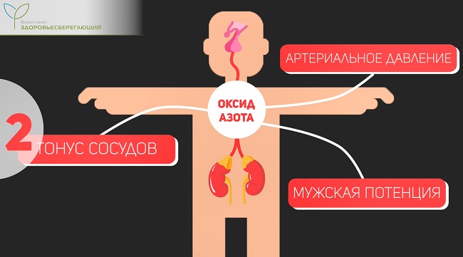 оксид азота