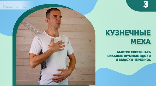 Кузнечные меха