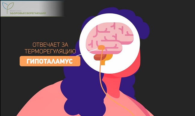 гипоталамус