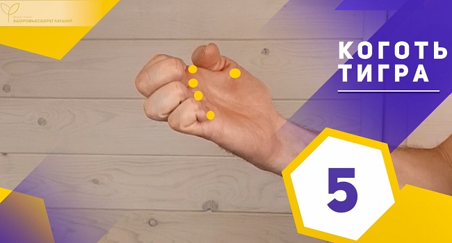 Коготь тигра