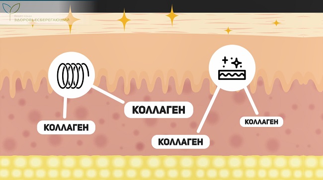 масса кожи и ее площадь