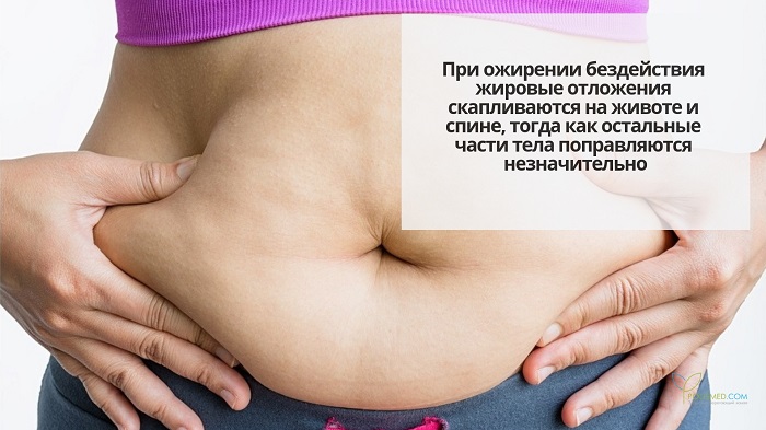 Жировые отложения на животе