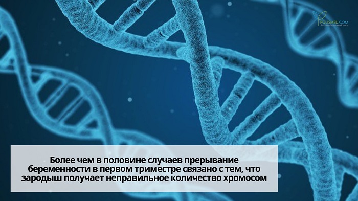Спирали ДНК