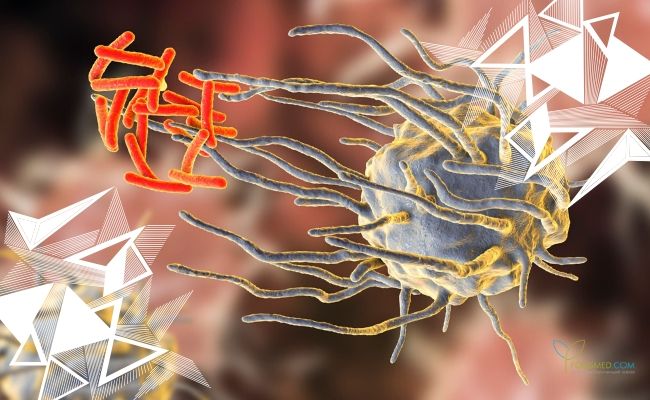 Иммунная клетка атакует бактерии