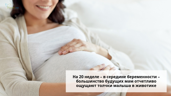 Беременная чувствует шевеления плода