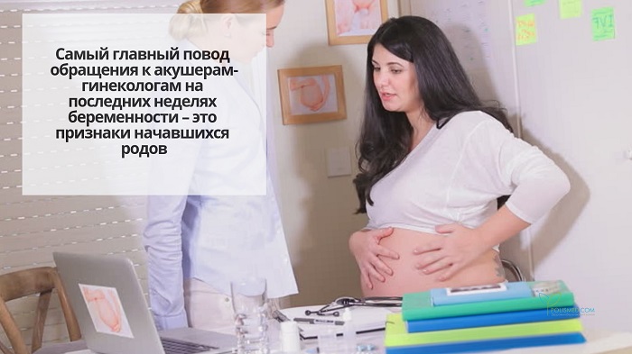 Беременная женщина у врача