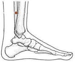 Акупрессурная точка на ноге