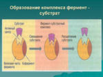 Исследования крови методом ферментного анализа