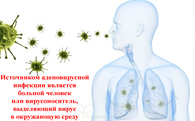 Источник аденовирусной инфекции