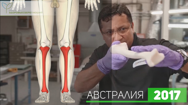 Что такое органы печати. Смотреть фото Что такое органы печати. Смотреть картинку Что такое органы печати. Картинка про Что такое органы печати. Фото Что такое органы печати