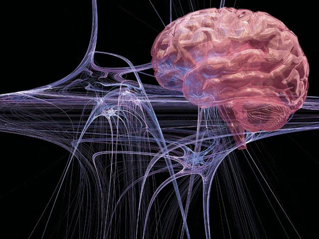Структура головного мозга отвечающая за эмоциональную окраску боли