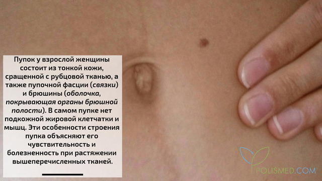 Если болит пупок что это значит у женщин при беременности. Смотреть фото Если болит пупок что это значит у женщин при беременности. Смотреть картинку Если болит пупок что это значит у женщин при беременности. Картинка про Если болит пупок что это значит у женщин при беременности. Фото Если болит пупок что это значит у женщин при беременности