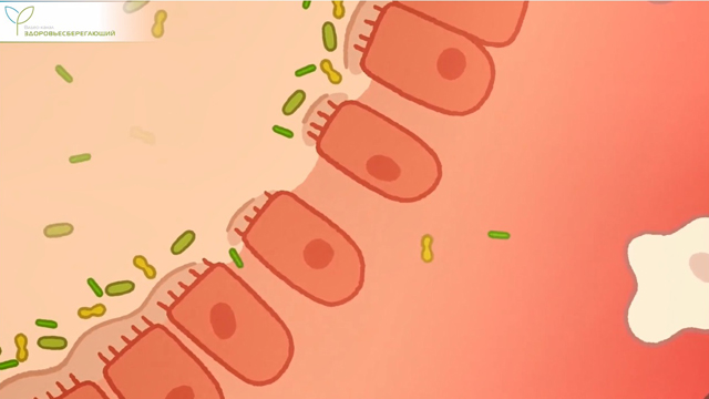 Язвенный колит