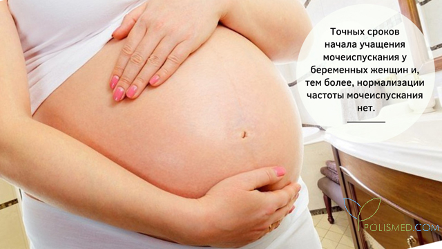 Начало и окончание частого мочеиспускания при беременности