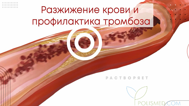 Вода с чесноком польза и вред Вода с чесноком польза и вред thumbnail