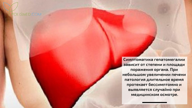Почему увеличивается печень